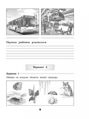 Плешаков Окружающий мир Проверочные работы 3 класс